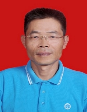 H动漫