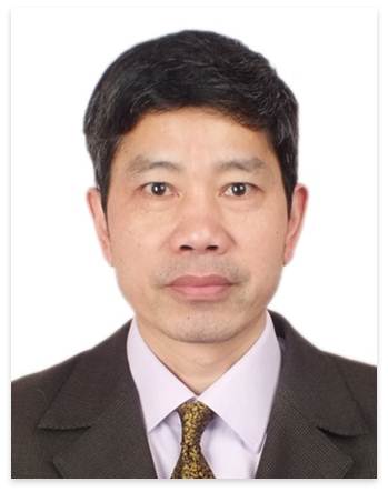 H动漫