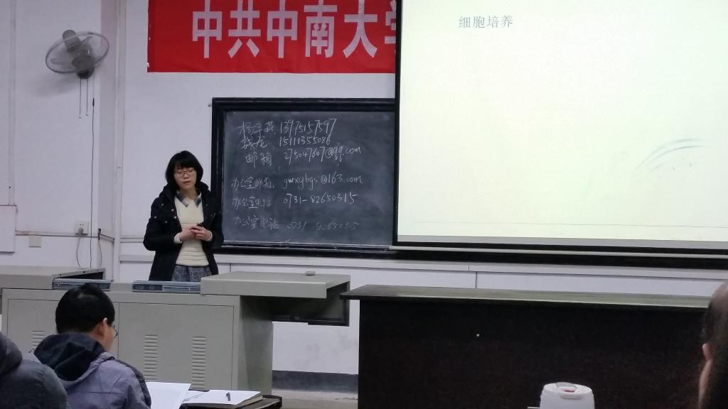 H动漫