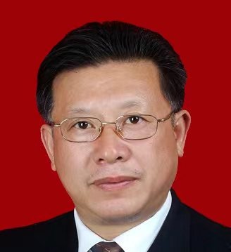 H动漫